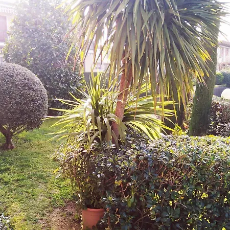Rosa Bianca Lazise