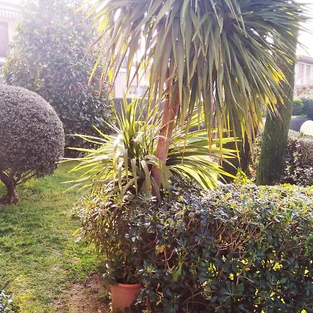 Rosa Bianca Lazise